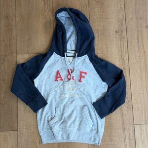 Abercrombie & Fitch Kids Blue and Gray Hoodie size large